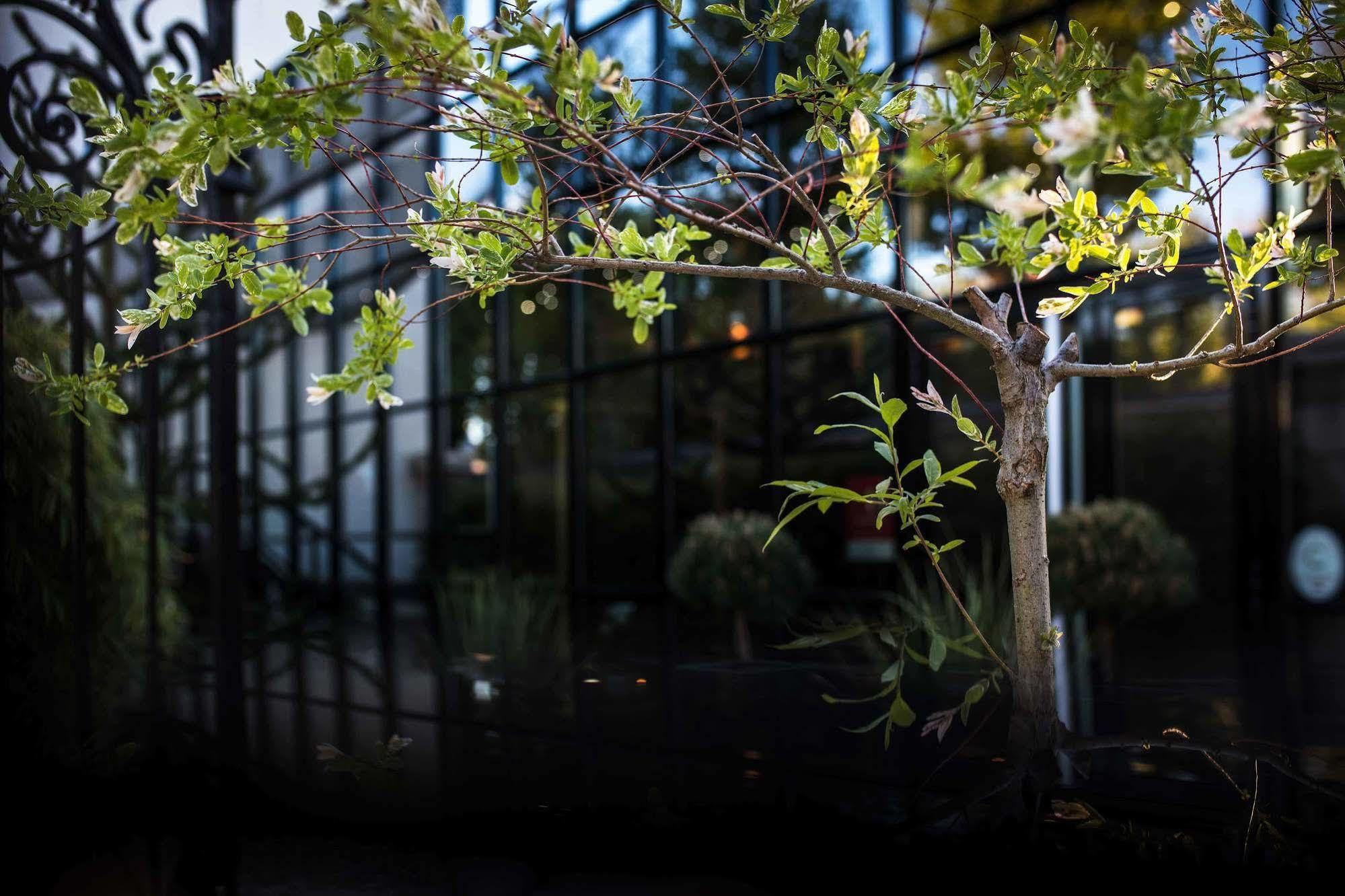 Maison Decoret - Relais & Chateaux Vichy Eksteriør bilde